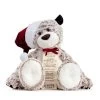 Large Giving Bear In Santa Hat Stuffed Animal, 16"