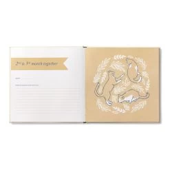 Our First Year Together: A Memory Keeper For Your New Cat Book 7 Our First Year Together: A Memory Keeper For Your New Cat Book -Hallmark Memory Keeper Book for Your New Cat 10578 04