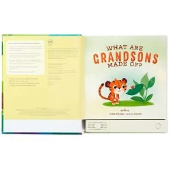Hallmark What Are Grandsons Made Of? Recordable Storybook -Hallmark What Are Grandsons Made Of Recordable Storybook 1KOB1230 03
