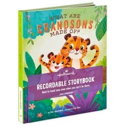 Hallmark What Are Grandsons Made Of? Recordable Storybook -Hallmark What Are Grandsons Made Of Recordable Storybook 1KOB1230 05